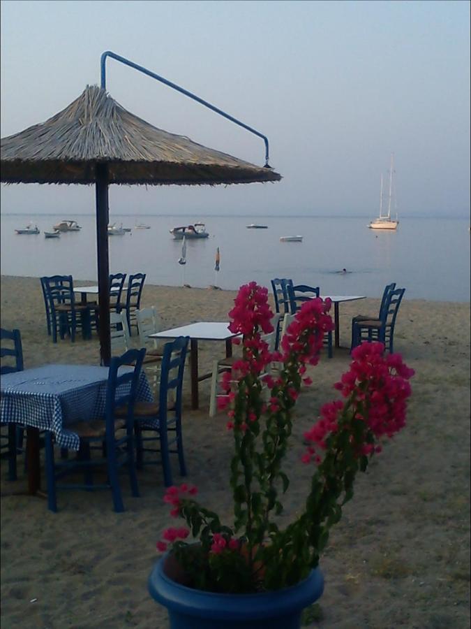Dafni'S Home 50 Meters From The Beach Gerakini Zewnętrze zdjęcie